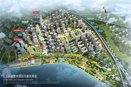 怎么网签购房合同